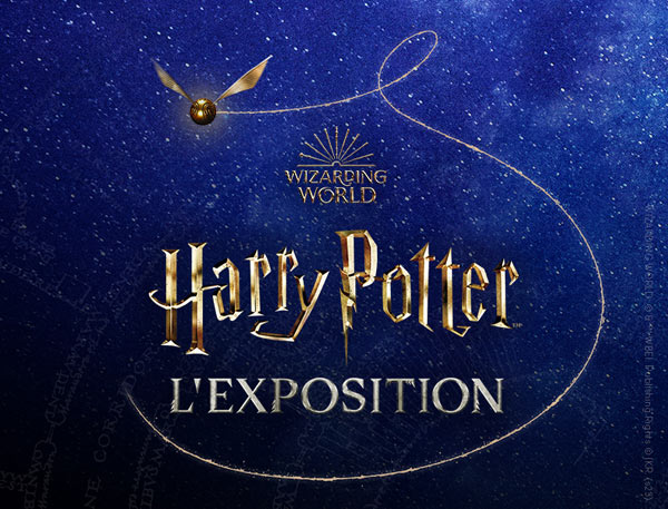exposition Harry Potter